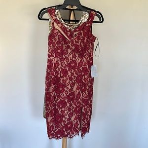 Lulu’s stretch lace cocktail dress. NWT. Never worn. Sz S